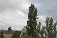 Cjp_2016_06_12_073846.jpg