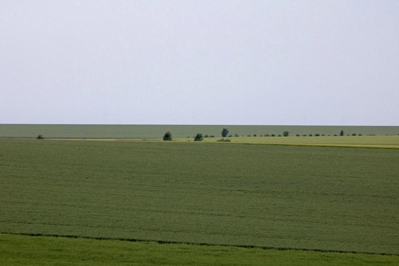 Cjp_2016_06_12_174226.jpg