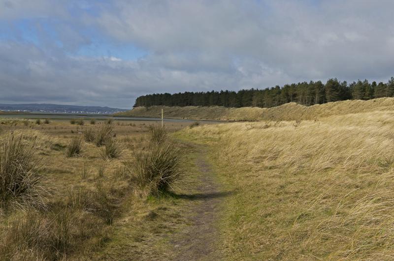 Cjp_2017-03-16_111452.jpg