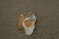 Cjp_2017-03-16_112714.jpg