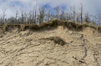 Cjp_2017-03-16_114456.jpg