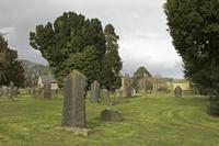 Cjp_2017-03-16_151420.jpg