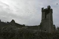 Cjp_2017-03-17_082138.jpg