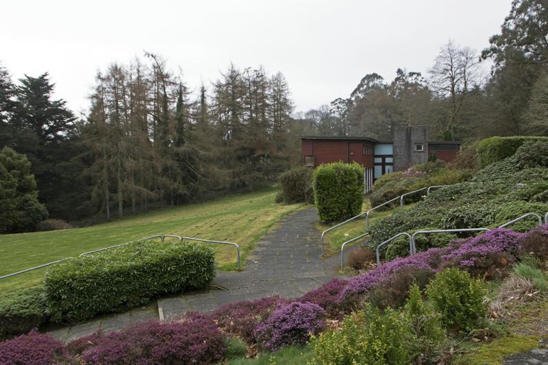 Cjp_2017-03-17_093236.jpg