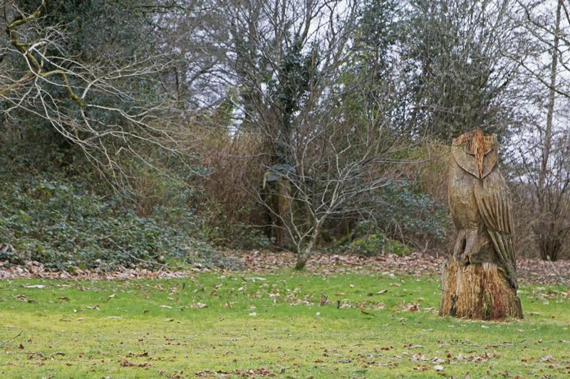 Cjp_2017-03-17_093602.jpg