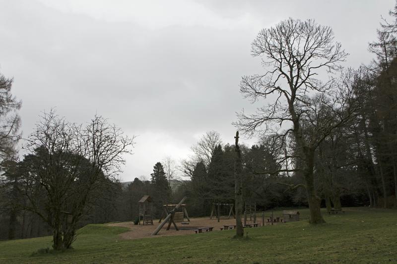 Cjp_2017-03-17_093730.jpg