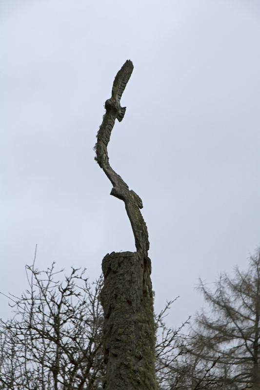 Cjp_2017-03-17_093818.jpg