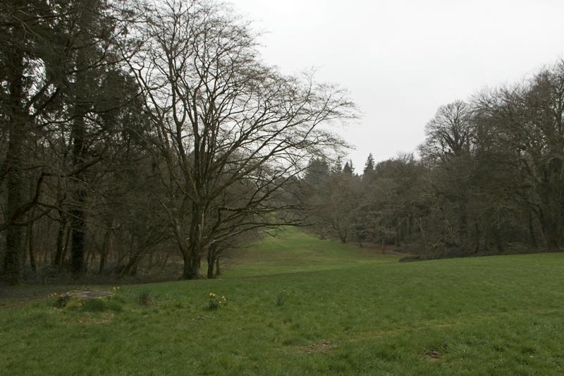 Cjp_2017-03-17_094144.jpg