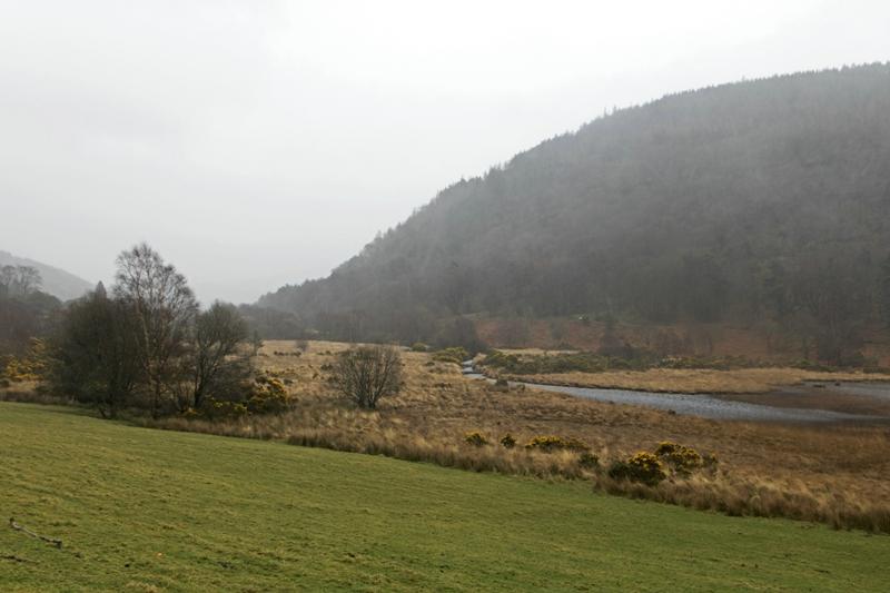Cjp_2017-03-17_142556.jpg