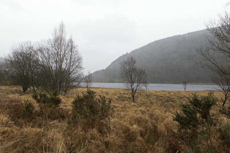 Cjp_2017-03-17_143040.jpg