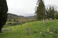 Cjp_2017-03-17_082646.jpg