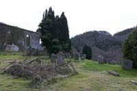 Cjp_2017-03-17_082908.jpg