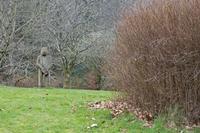Cjp_2017-03-17_093126.jpg