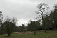 Cjp_2017-03-17_093730.jpg