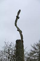 Cjp_2017-03-17_093818.jpg