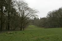 Cjp_2017-03-17_094144.jpg