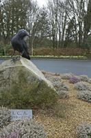Cjp_2017-03-17_104558.jpg