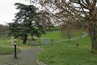 Cjp_2017-03-17_105336.jpg