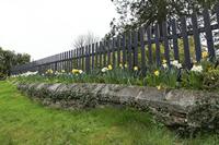 Cjp_2017-03-17_110354.jpg