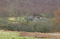Cjp_2017-03-17_135314.jpg