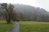 Cjp_2017-03-17_141120_2.jpg