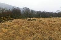 Cjp_2017-03-17_141824.jpg