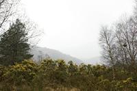 Cjp_2017-03-17_142210.jpg