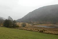 Cjp_2017-03-17_142556.jpg