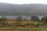 Cjp_2017-03-17_142810.jpg
