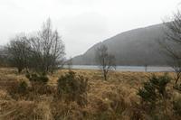 Cjp_2017-03-17_143040.jpg