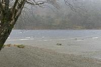 Cjp_2017-03-17_144736.jpg