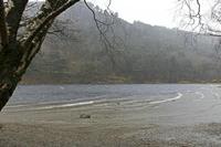 Cjp_2017-03-17_144802.jpg