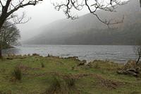 Cjp_2017-03-17_145012.jpg