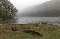 Cjp_2017-03-17_145034.jpg