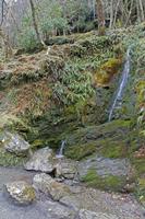 Cjp_2017-03-17_150046.jpg