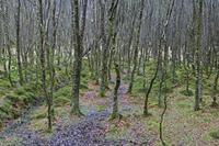 Cjp_2017-03-17_150146.jpg