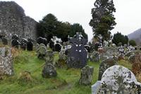 Cjp_2017-03-17_152420.jpg