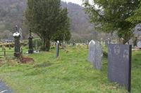 Cjp_2017-03-17_152742.jpg