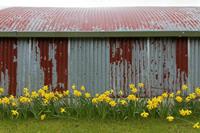 Cjp_2017-03-17_155822.jpg