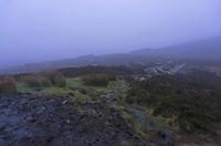 Cjp_2017-03-18_070022.jpg