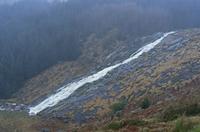 Cjp_2017-03-18_074506.jpg