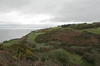 Cjp_2017-03-18_091304.jpg