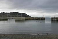 Cjp_2017-03-18_132420.jpg