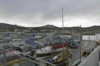 Cjp_2017-03-18_132708.jpg
