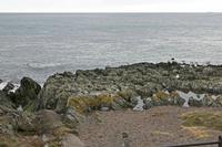 Cjp_2017-03-18_133654.jpg