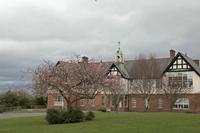 Cjp_2017-03-18_153756.jpg
