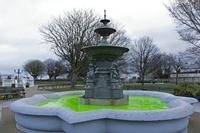 Cjp_2017-03-19_074716.jpg