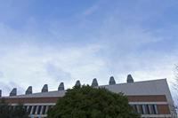 Cjp_2017-03-19_075918.jpg