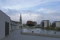 Cjp_2017-03-19_080624.jpg