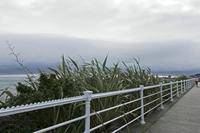 Cjp_2017-03-19_095520.jpg